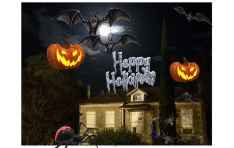Haloween au CNA